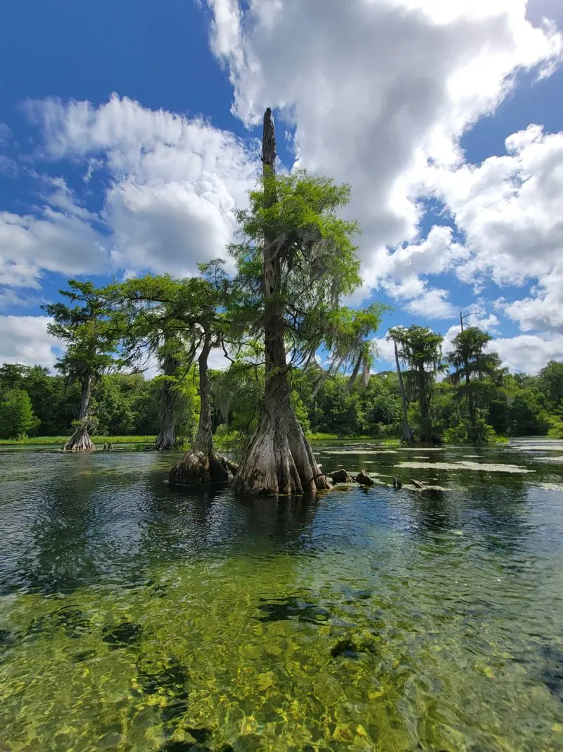 Falling Water at Edward Ball Wakulla Springs Lodge Grounds - Wakulla Springs