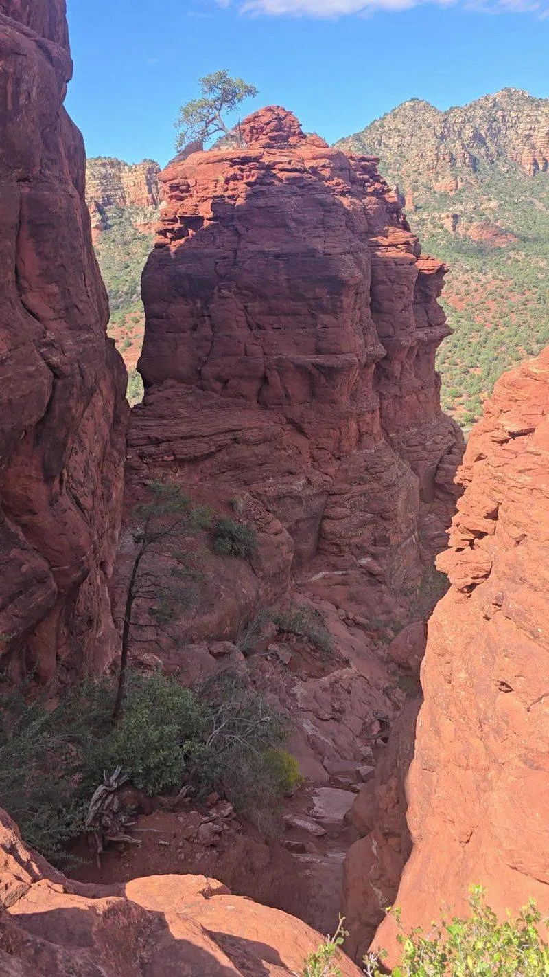 Shade and sip strategy