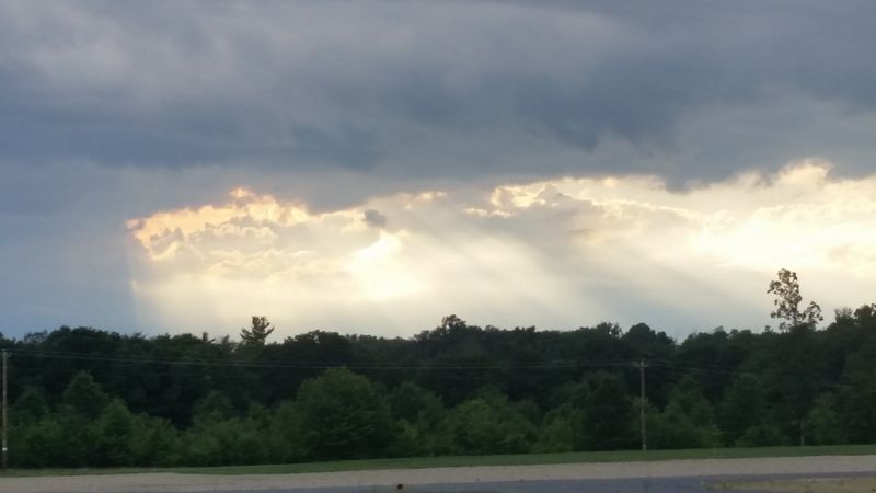 Route 19
