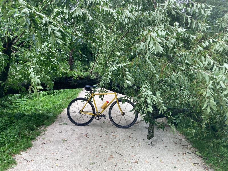 Illinois Prairie Path, Illinois