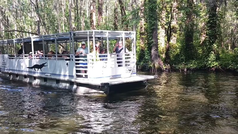 Seasonal Highlights and Special Tours