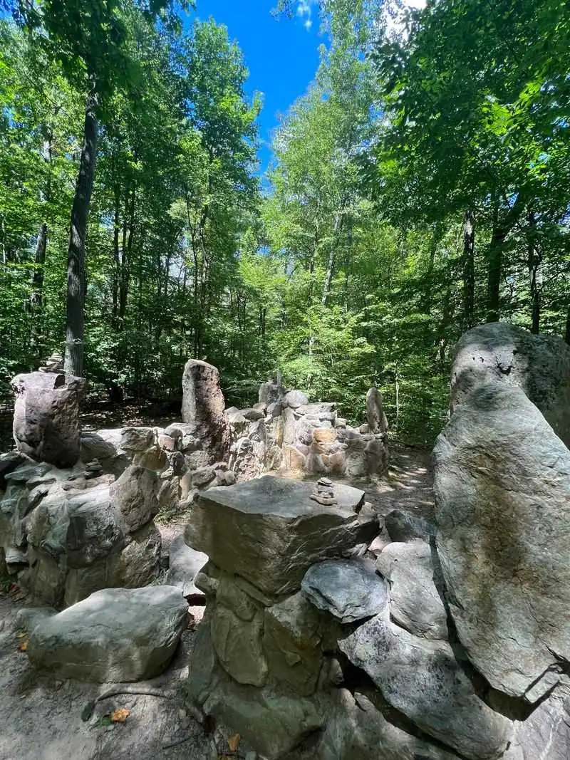 Enchanting Woodland Trails