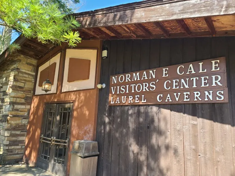 Rainy-Day Museum Pairing