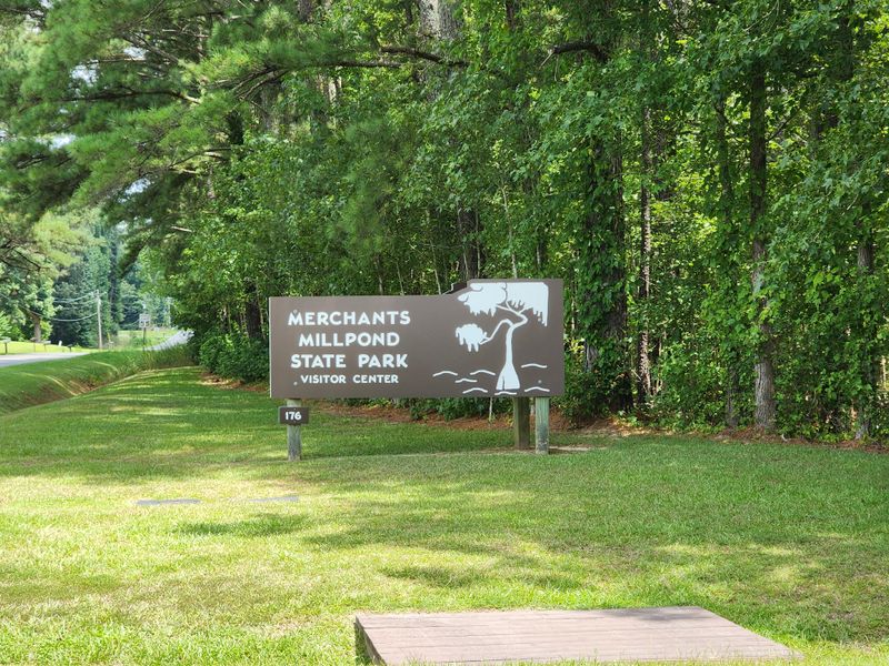 Family Friendly Activities