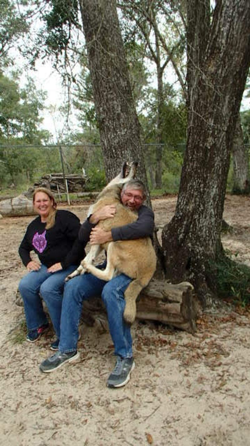 Educational Focus and Conservation Mission