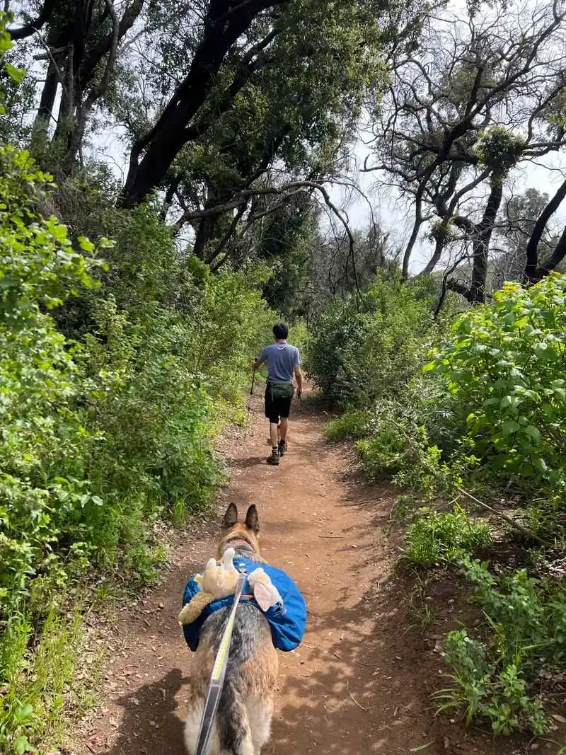 What to Pack for a Comfortable Hike