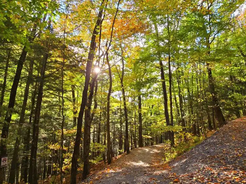 Photo Tips: Angles, Timing, and Composition