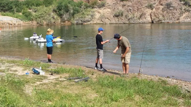 Fishing tips in the cove