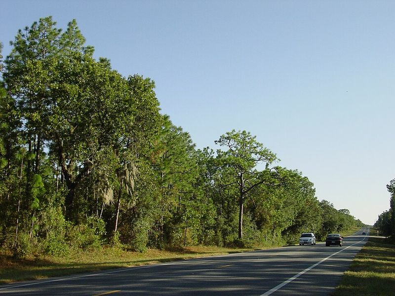 Big Bend Scenic Byway – Nature and River Views