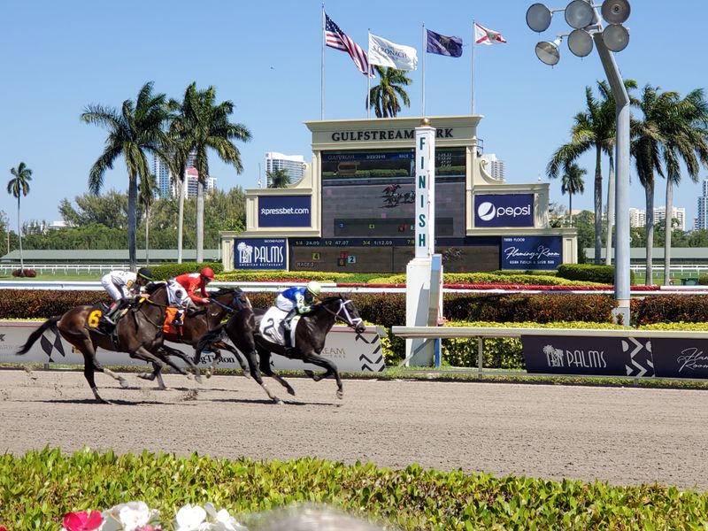 Gulfstream Park (Hallandale Beach, FL)