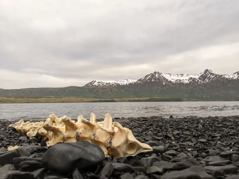 Kodiak Island, Alaska