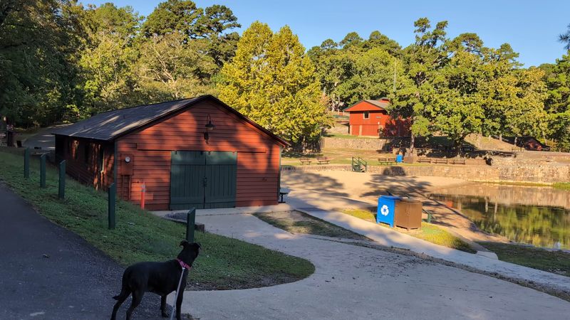 Cabins and Camping