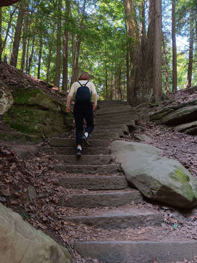 Accessibility and Trail Conditions