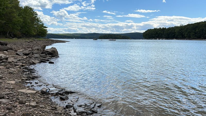 Gentle Trails and Shaded Picnics: Shuman Point Natural Area