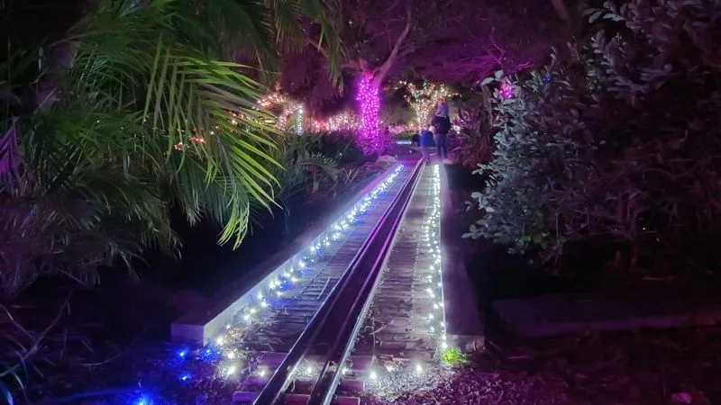 Holiday and special event rides