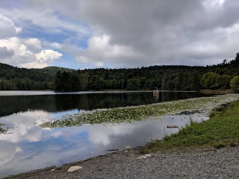 Accessibility and family friendly tips