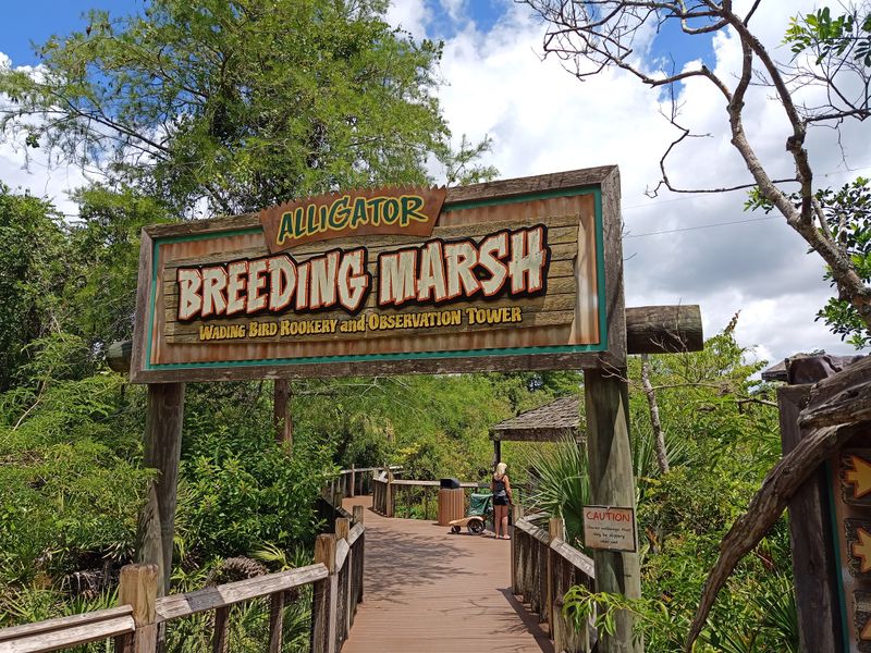 Breeding Marsh Boardwalk