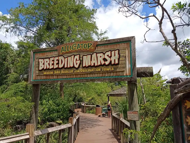 Breeding Marsh Boardwalk