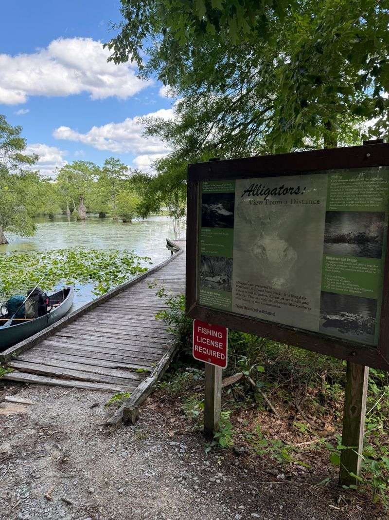 Safety Around Gators and Snags