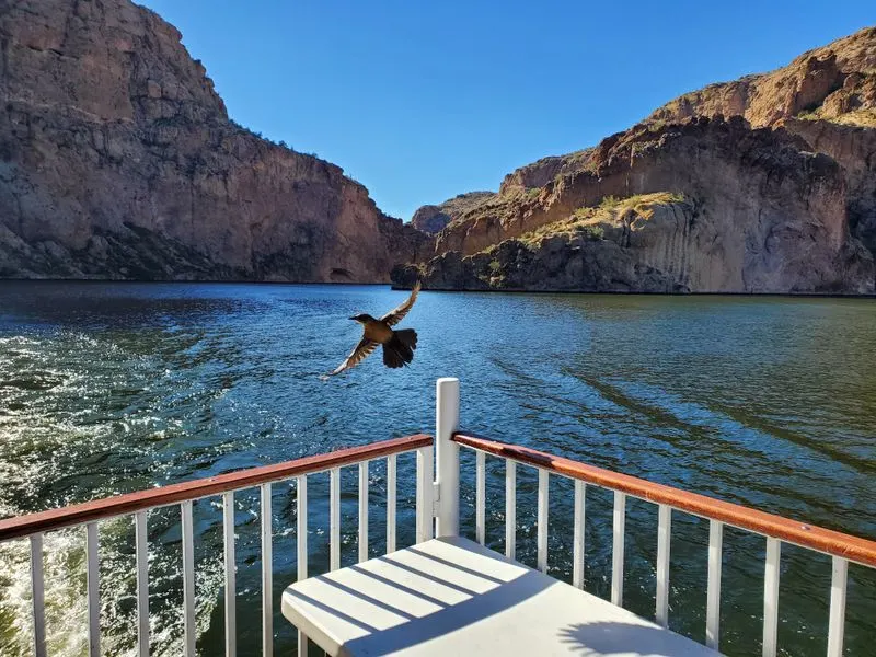 A Unique Way to See Arizona
