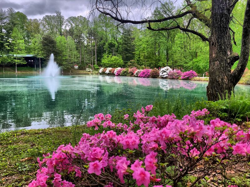 Hidden Water Features Sound Tour