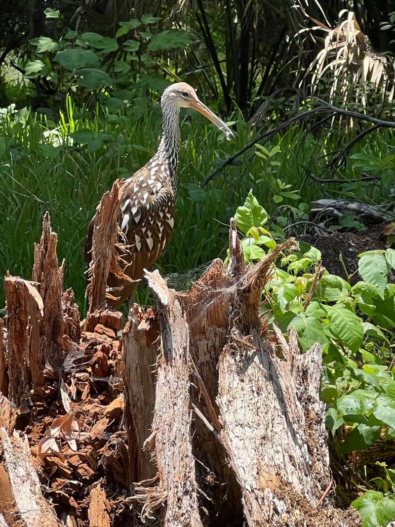 A Personalized and Memorable Experience