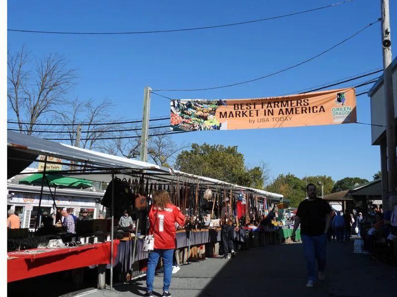 Local logistics: cash, ATMs, accessibility, and contact info