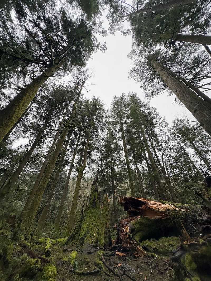 Wildlife and natural features