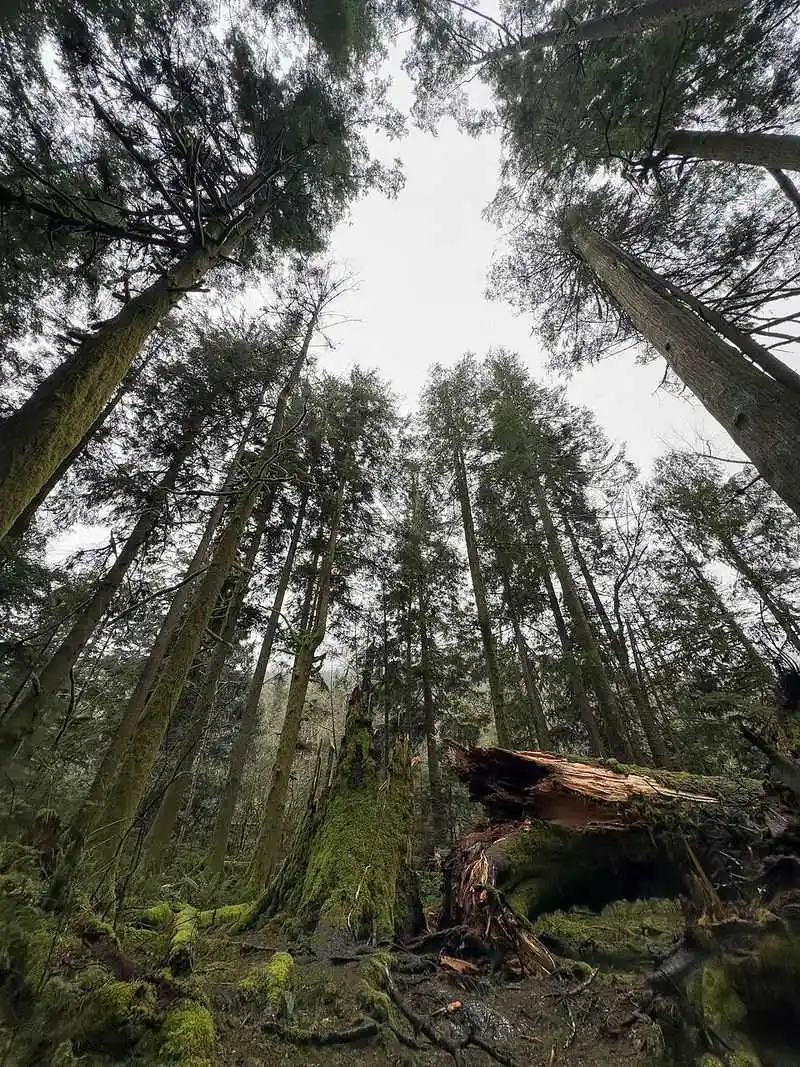 Wildlife and natural features