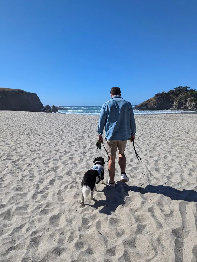 Practical tips: parking, hours, and safety