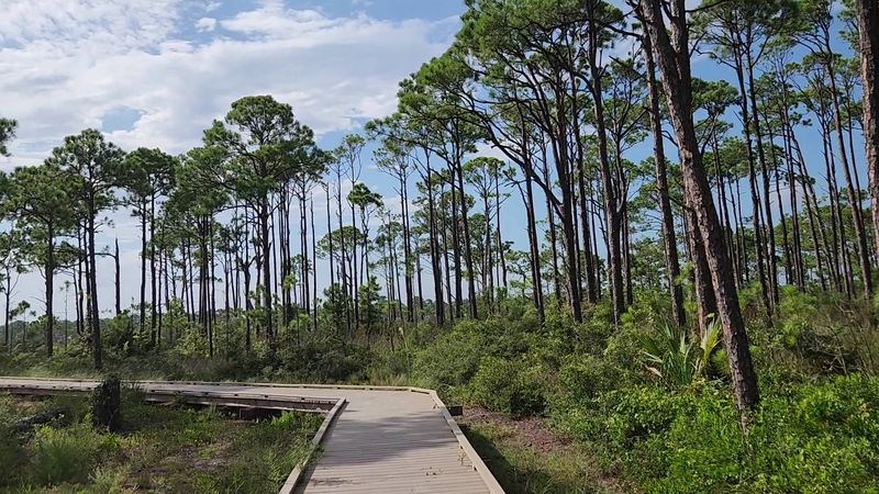 St. George Island State Park Campground &mdash; St. George Island, Florida