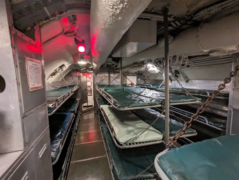 Overnight Programs: Scouts, Campouts, and Bucket List Moments