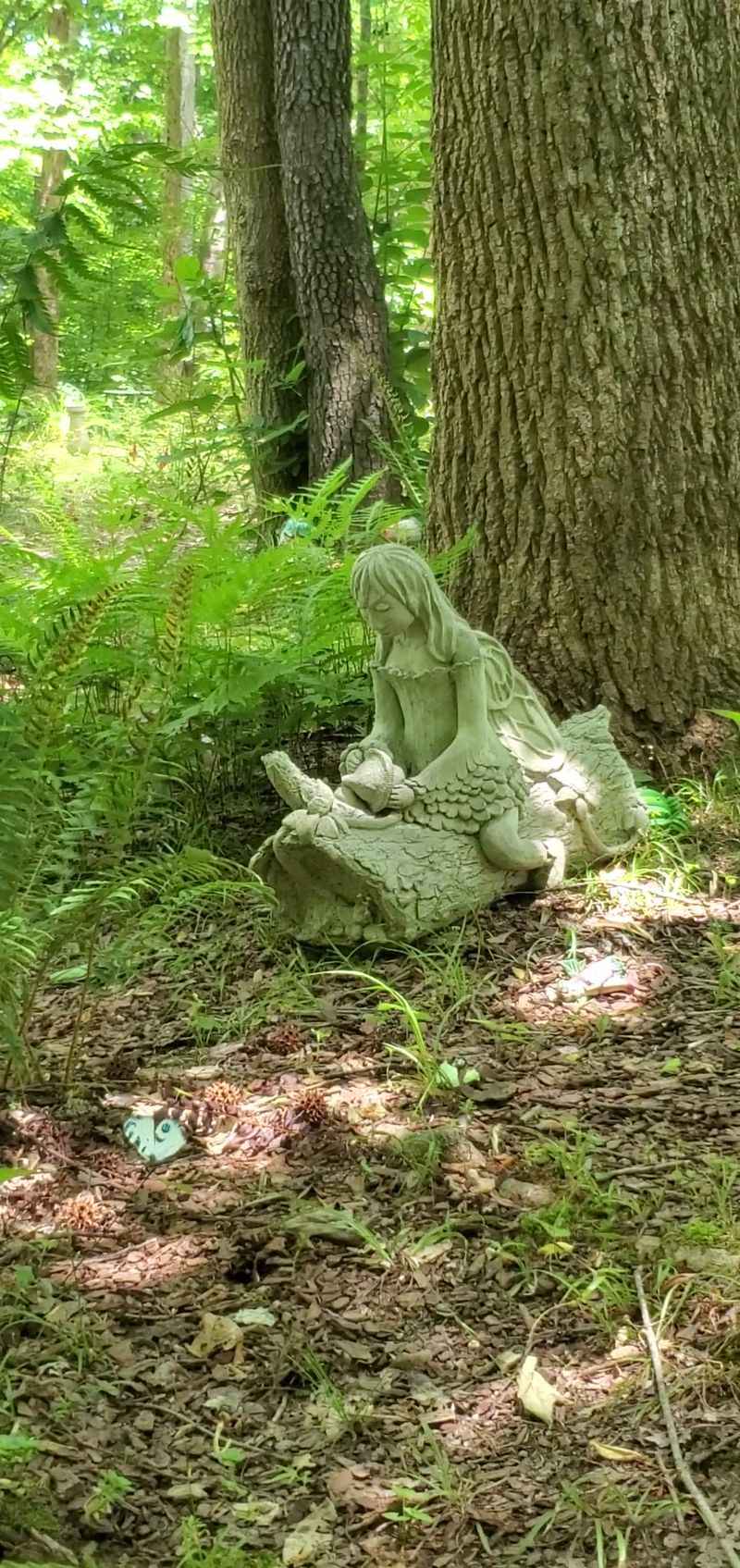 Seasonal Chef-Led Herb Tastings