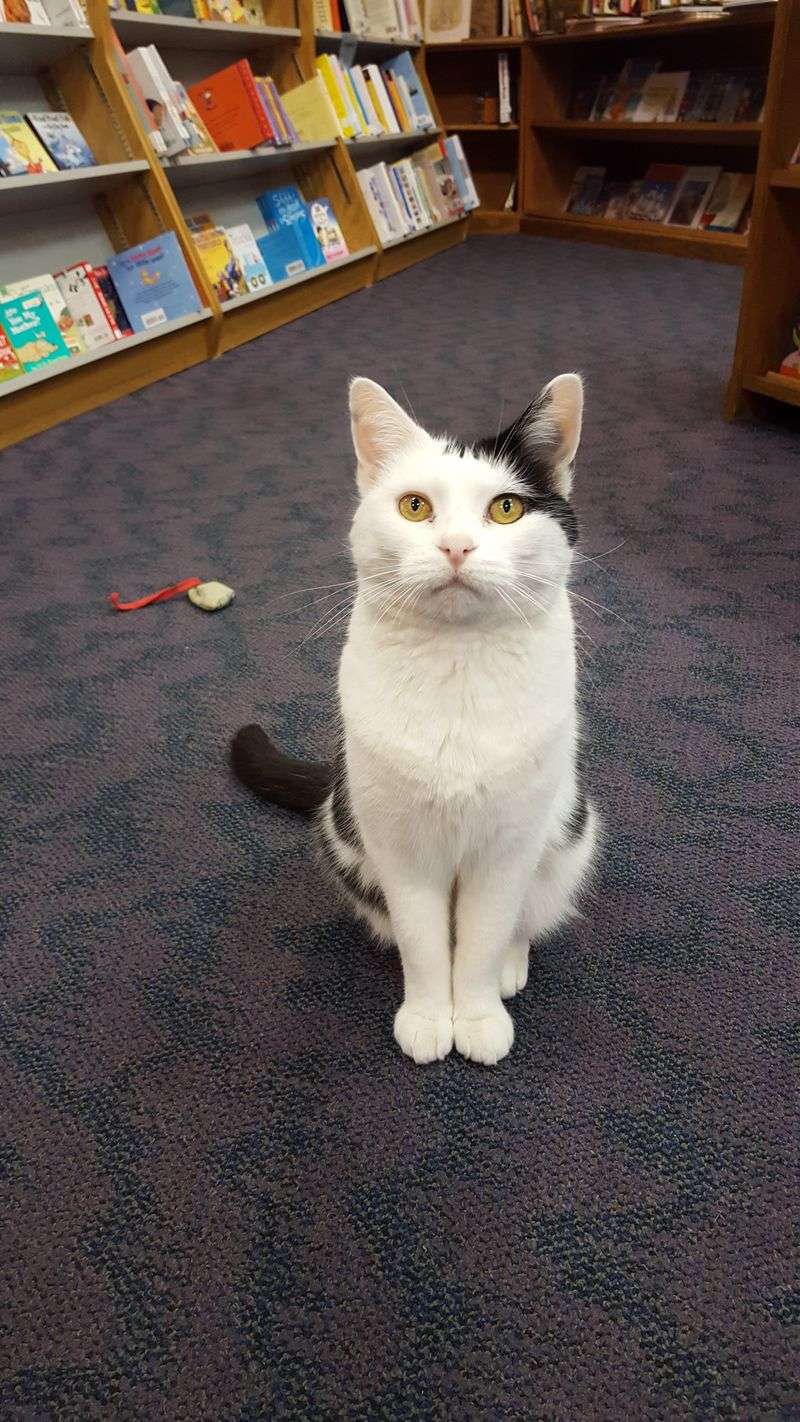 Layout you can actually breathe in