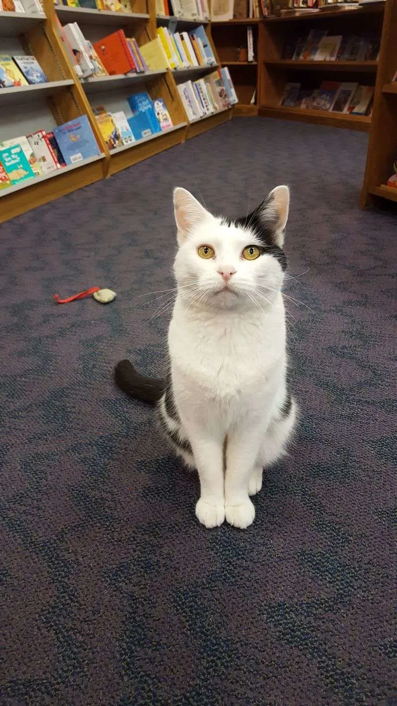 Layout you can actually breathe in