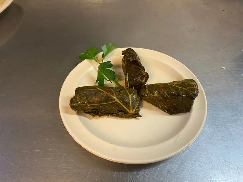 Dolma and classic appetizers