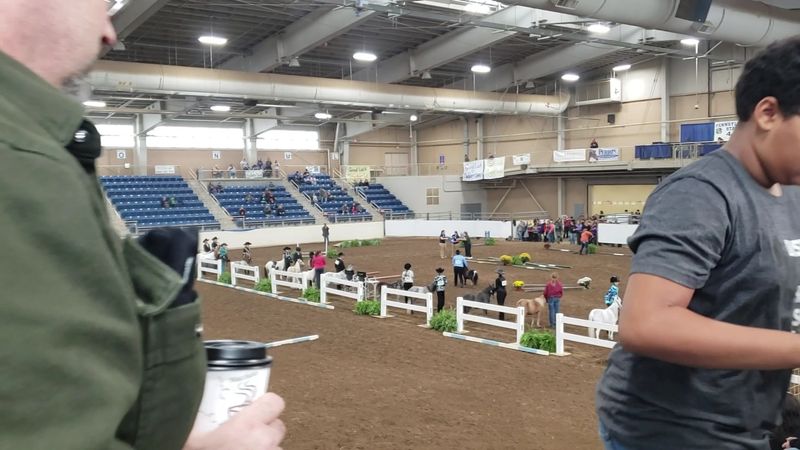 Competitions and Shows