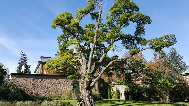 Why Manheim Appeals to Burned-Out Travelers