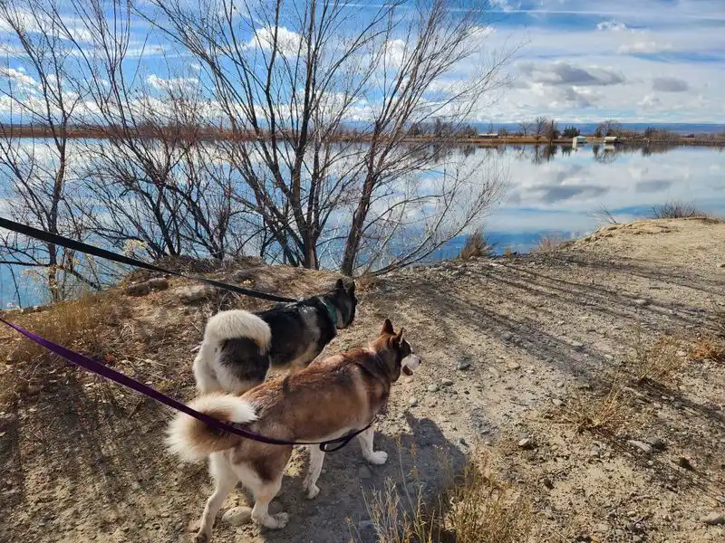 Amenities, fees, and on-site etiquette