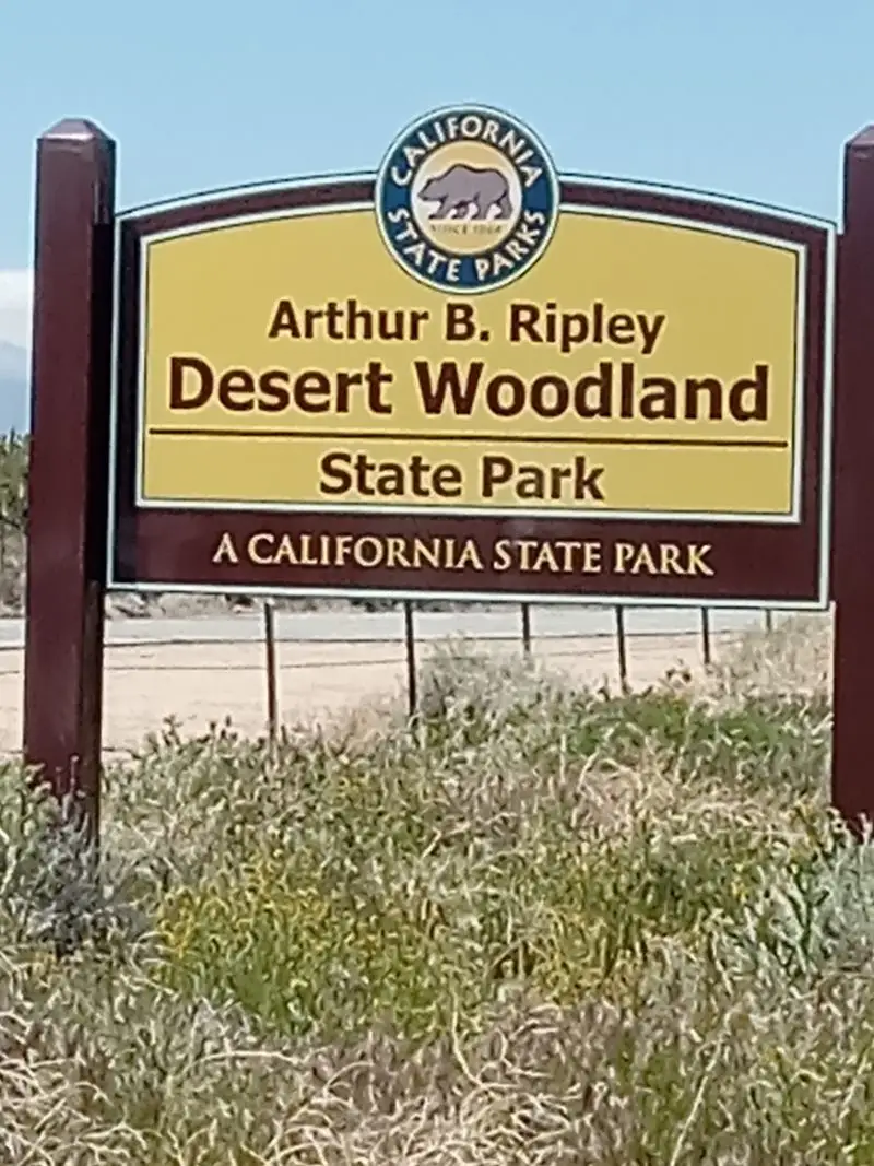 Arthur B. Ripley Desert Woodland State Park