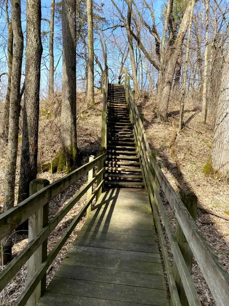 Sunset and Lookout Trails for Views