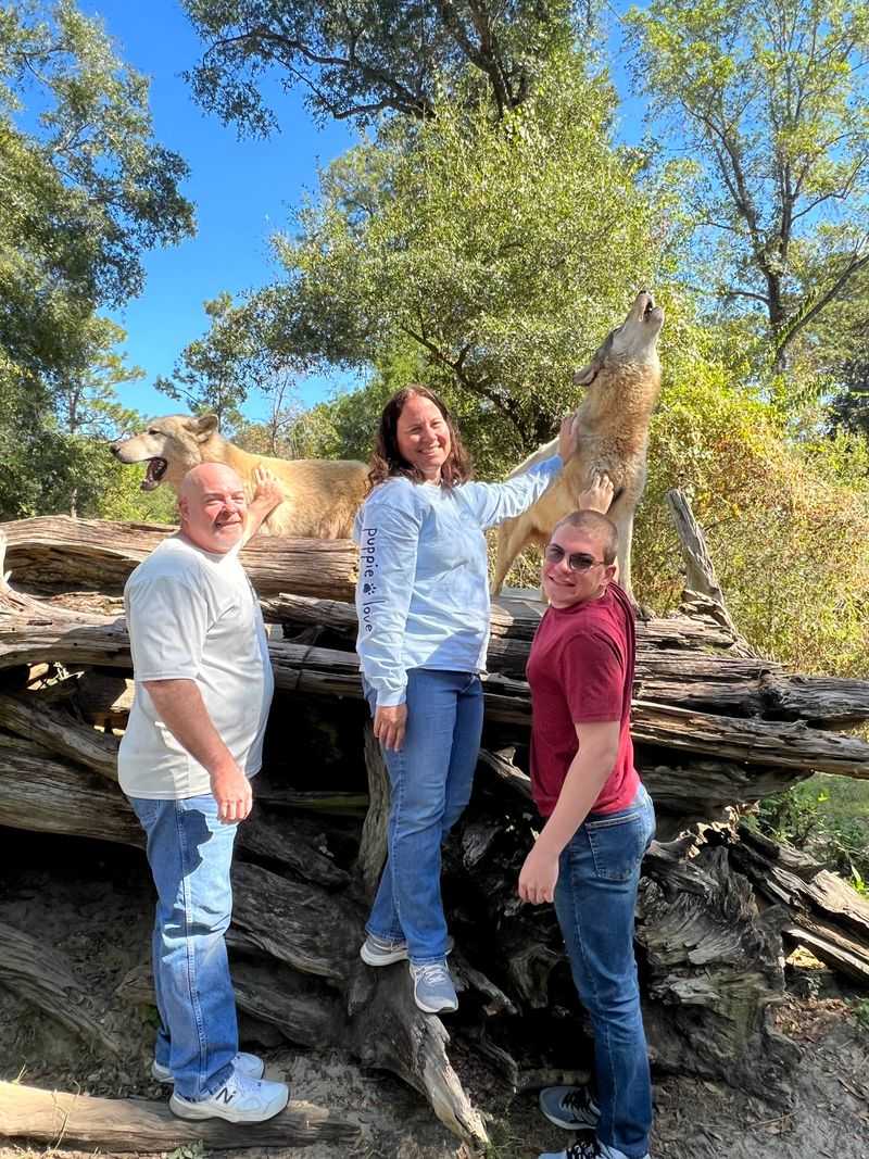 Howling, Vocalizations, and Body Language