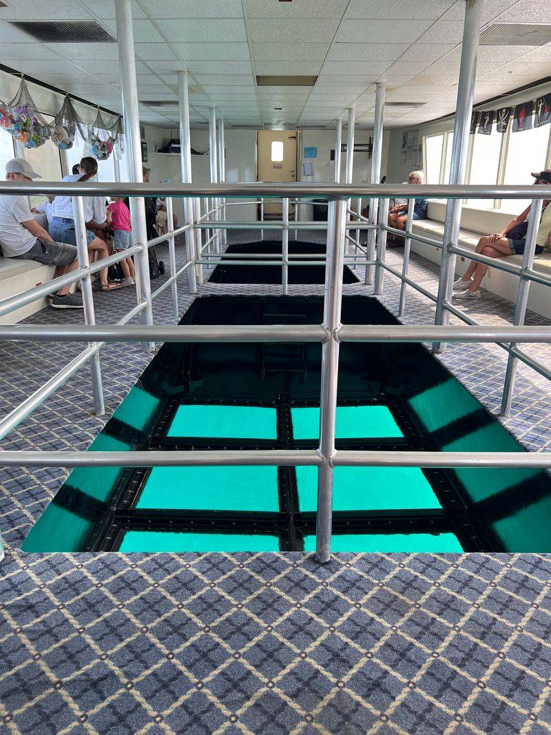 Take a Glass Bottom Boat Tour in Key Largo