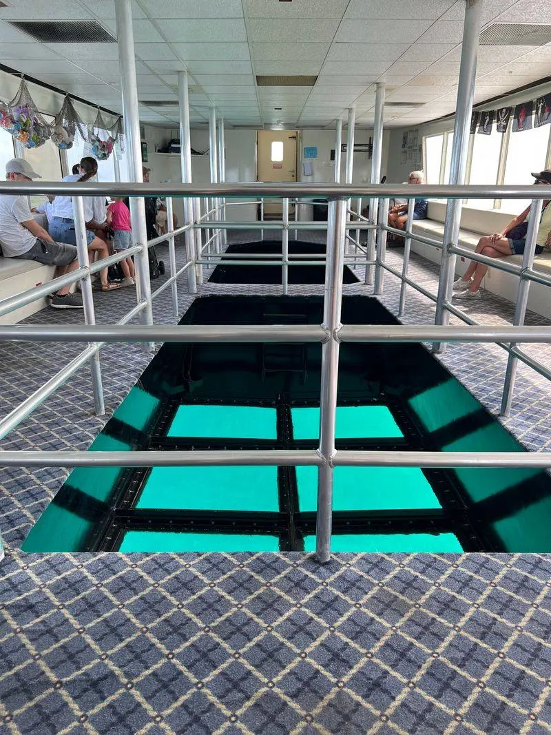 Take a Glass Bottom Boat Tour in Key Largo