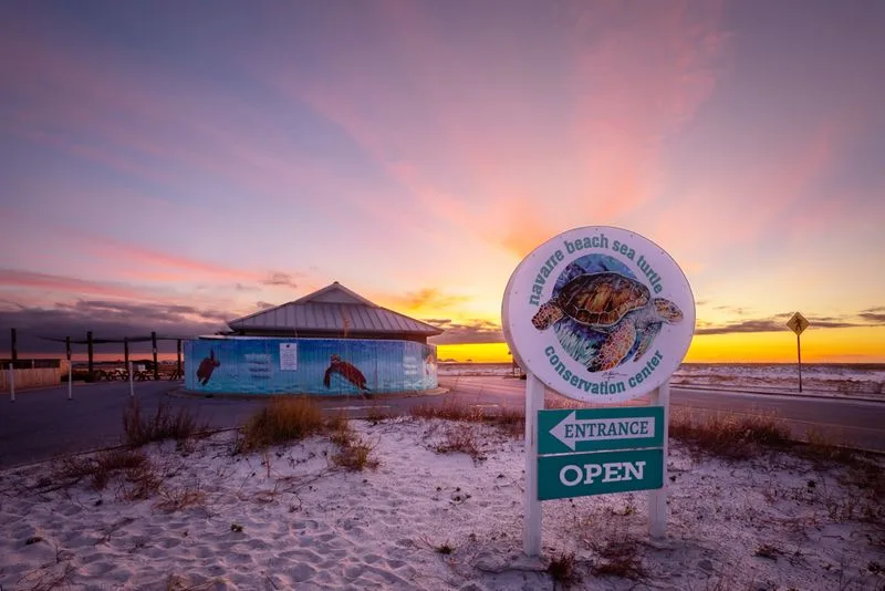 Navarre Beach Marine Park and Sea Turtle Conservation Center