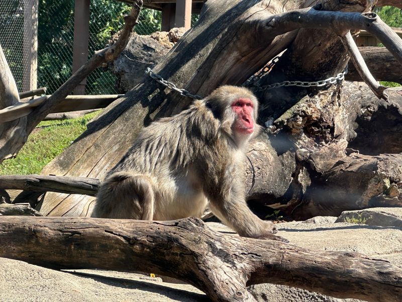 South Dakota – Great Plains Zoo – Sioux Falls