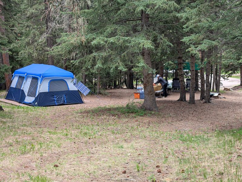 South Dakota — Sylvan Lake Campground, Custer State Park