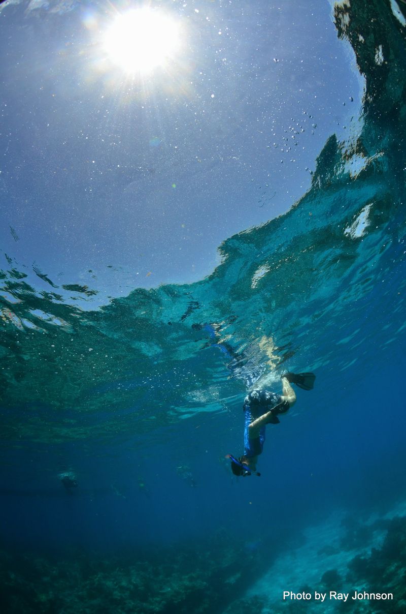 Snorkel Looe Key National Marine Sanctuary