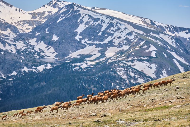 Trail Ridge Road Snowshoe Path &ndash; Rocky Mountain National Park, CO