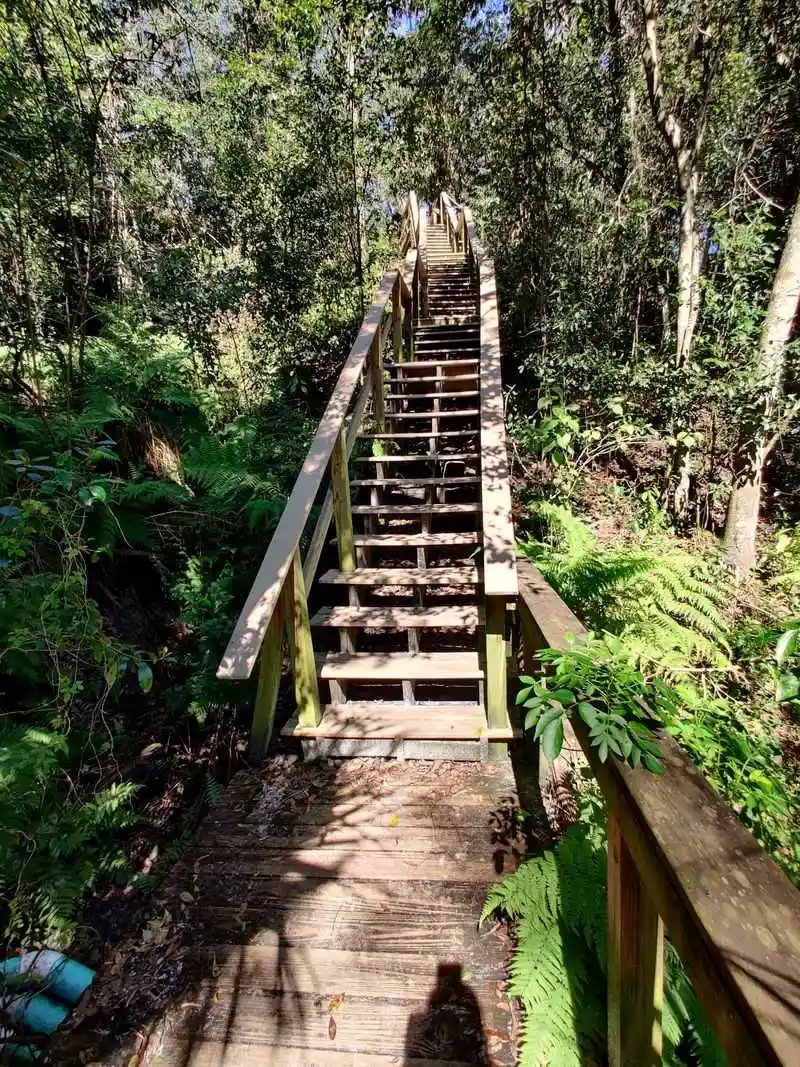 Fern Grotto Switchbacks